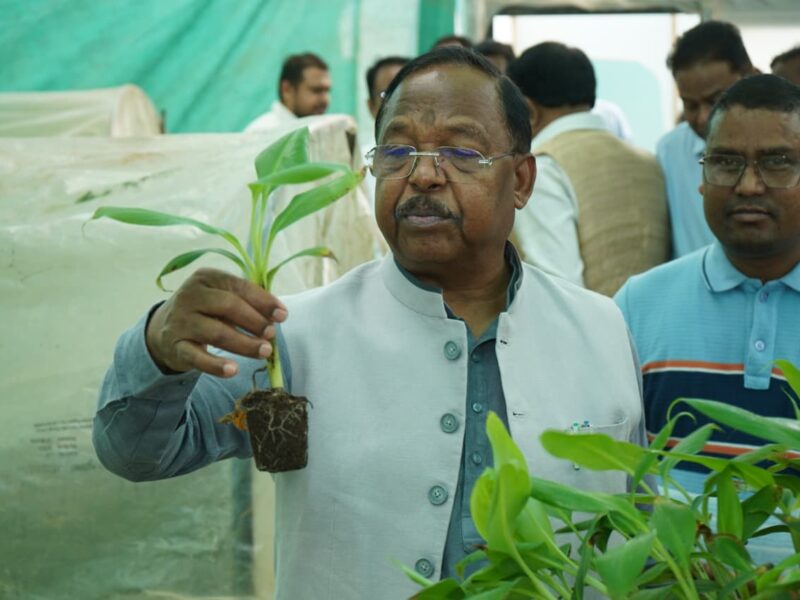 Chhattisgarh will become Makhana hub