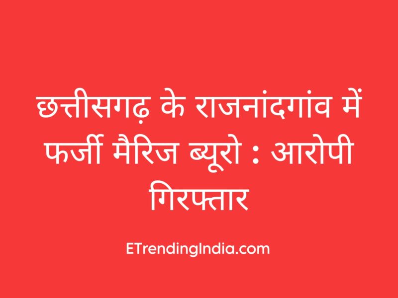 Fake marriage bureau