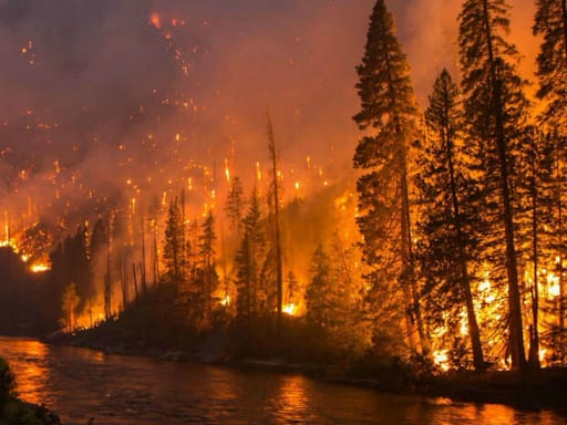 Forest fires in Uttarakhand