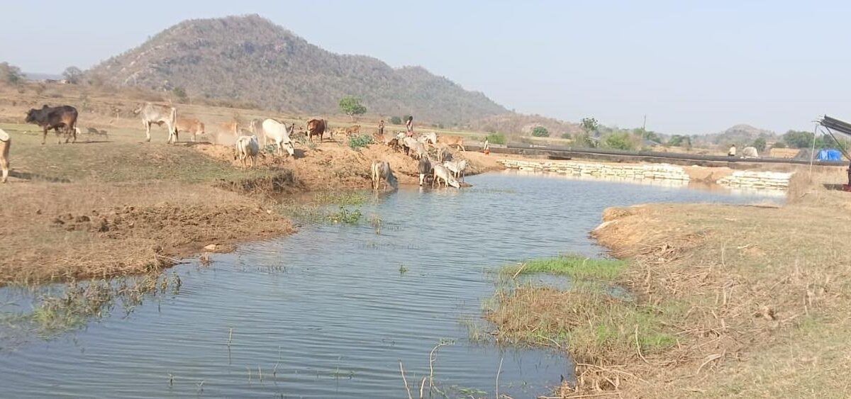 Panari drain becomes lifeline of village