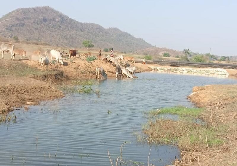 Panari drain becomes lifeline of village