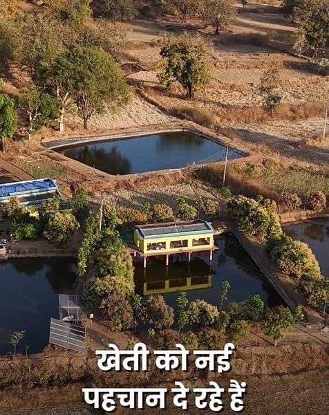 Poultry farming over the pond