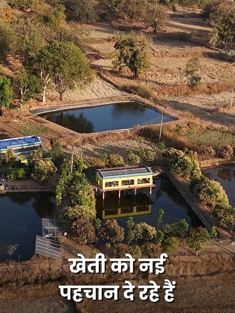 Poultry farming over the pond