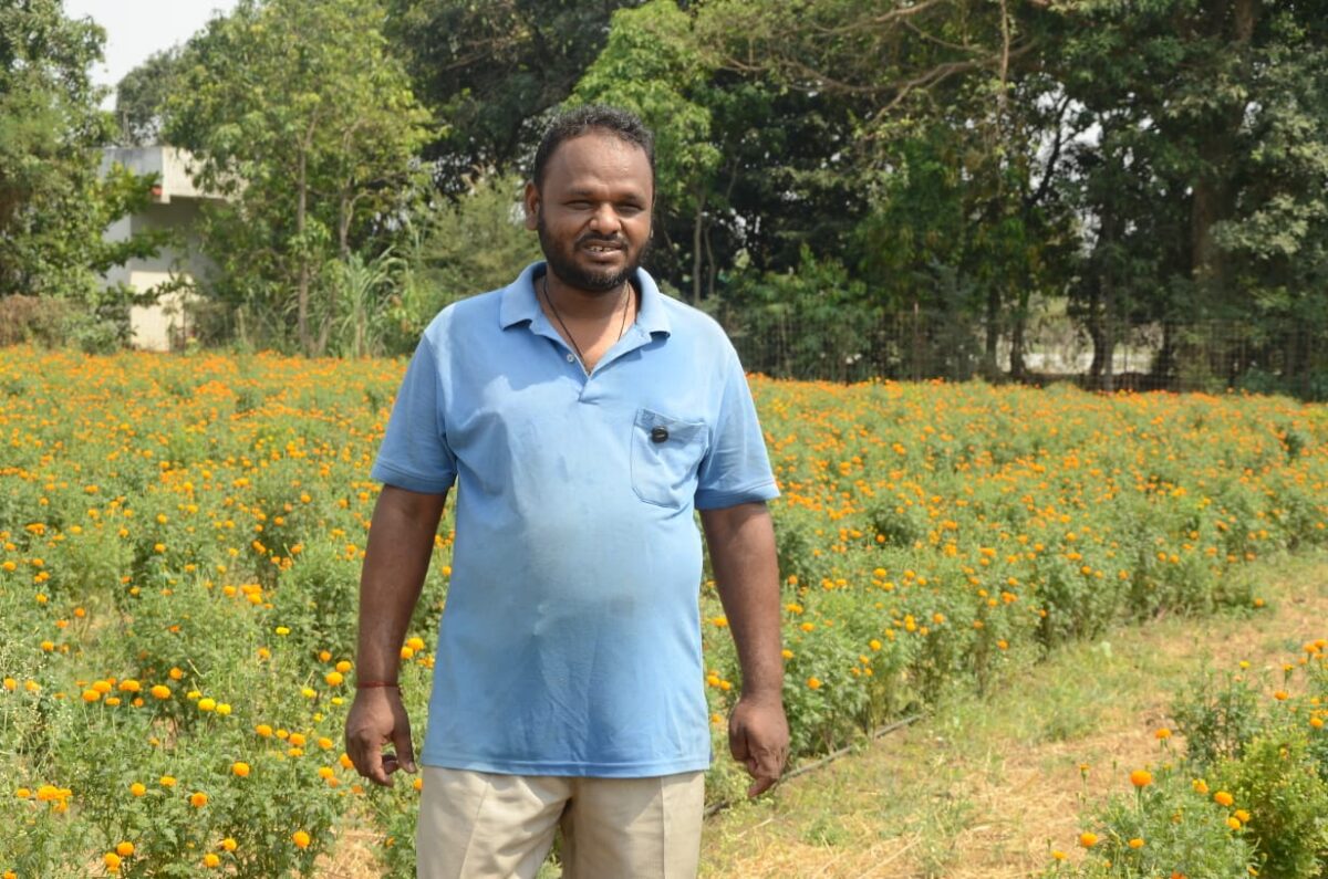 The journey from soil to smell