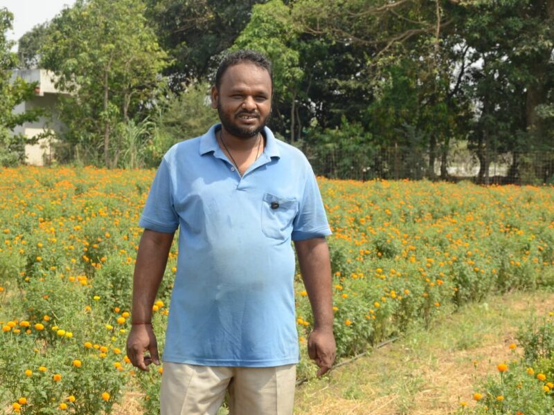 The journey from soil to smell