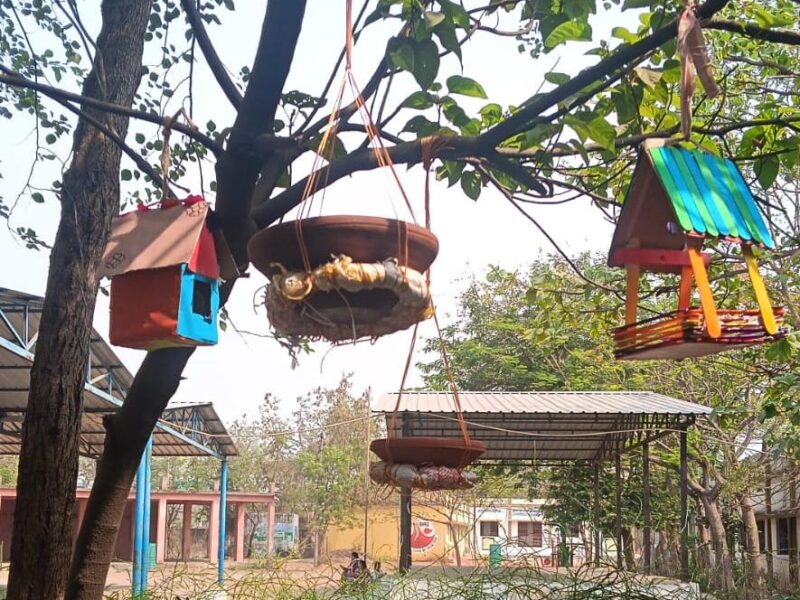 Unique initiative of Summer Camp