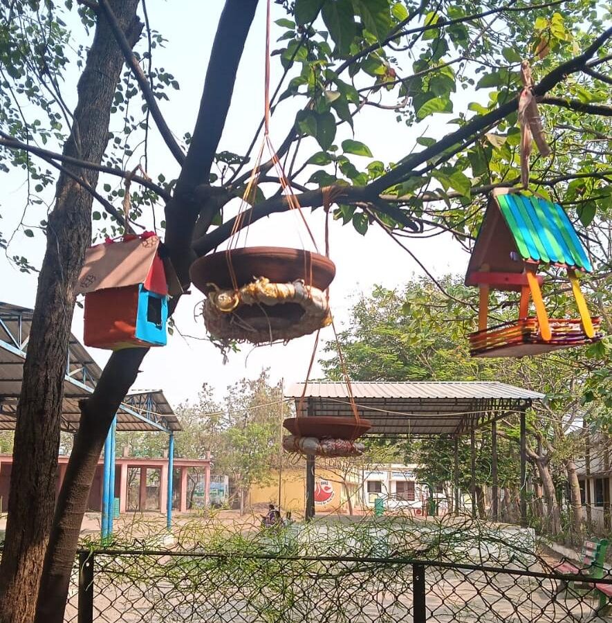 Unique initiative of Summer Camp