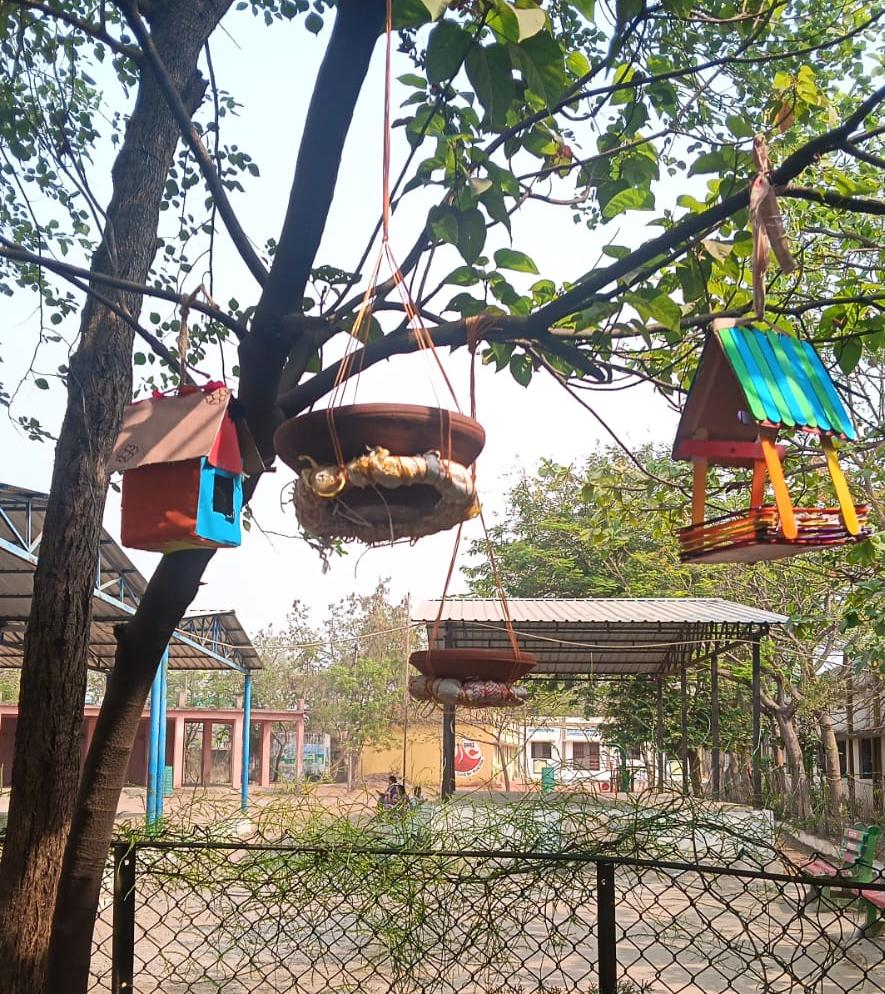 Unique initiative of Summer Camp