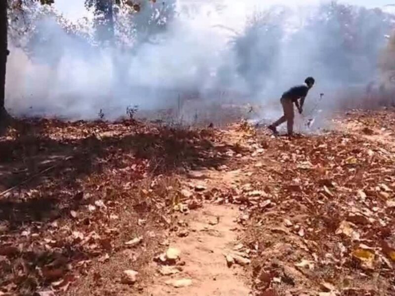 Vanagni in summer in Chhattisgarh