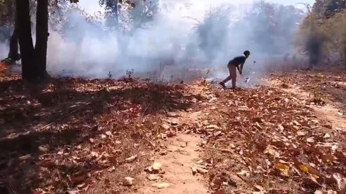 Vanagni in summer in Chhattisgarh