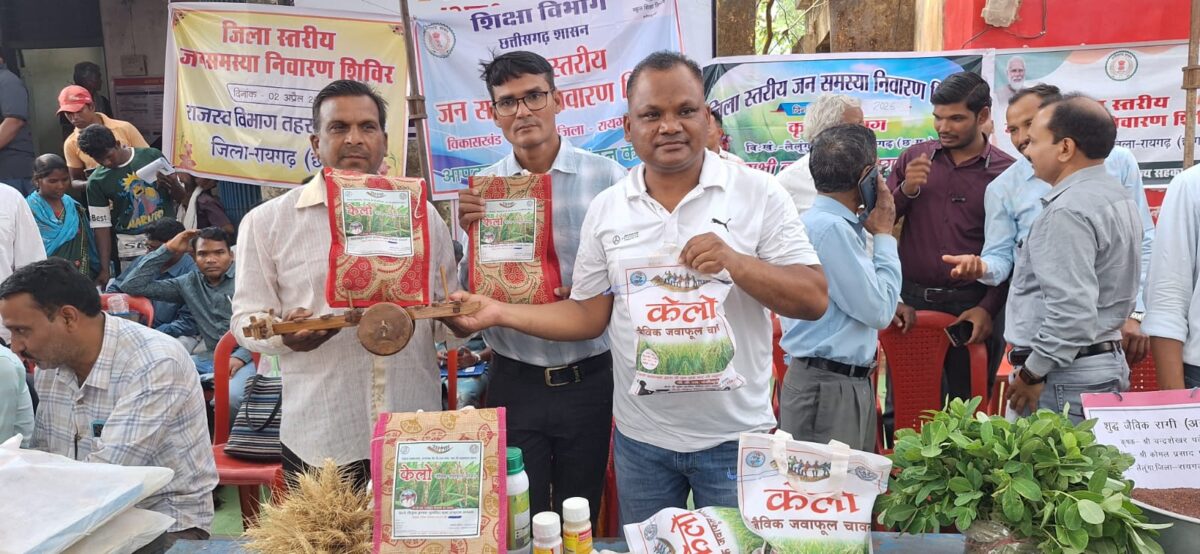 Kelo' organic jawafool rice