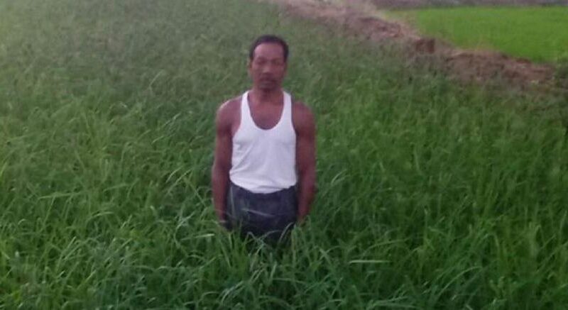 water management and multi-cropping farming