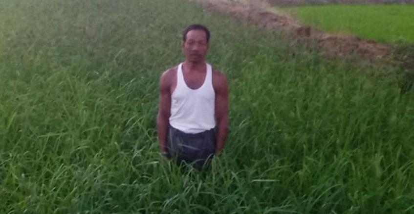 water management and multi-cropping farming