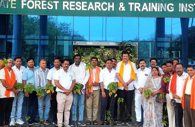 Cultivation of medicinal plants