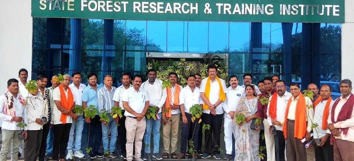 Cultivation of medicinal plants