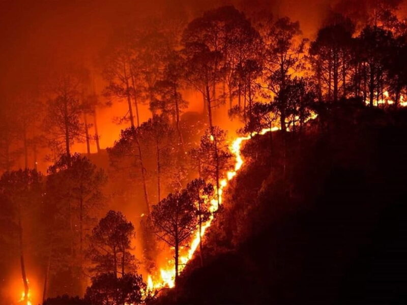Fire Alert System