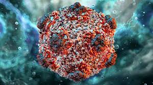 Hantavirus 2026
