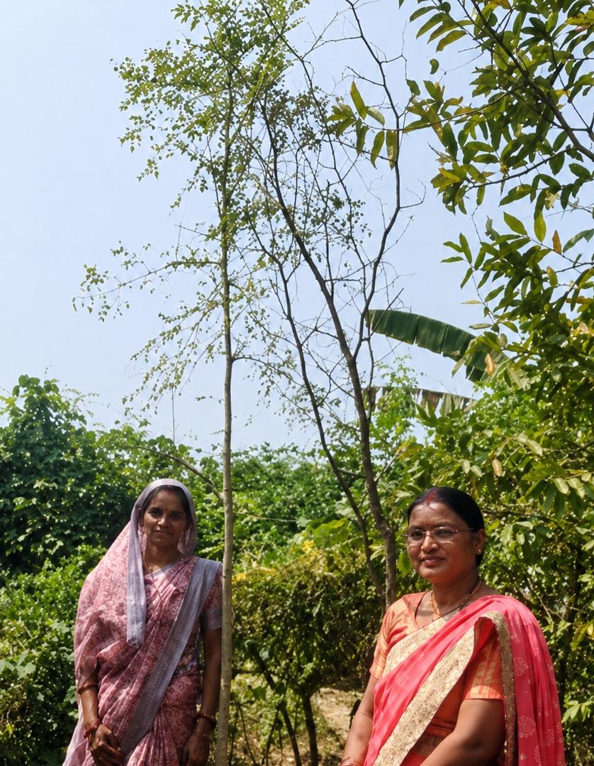 Har Ghar Munga