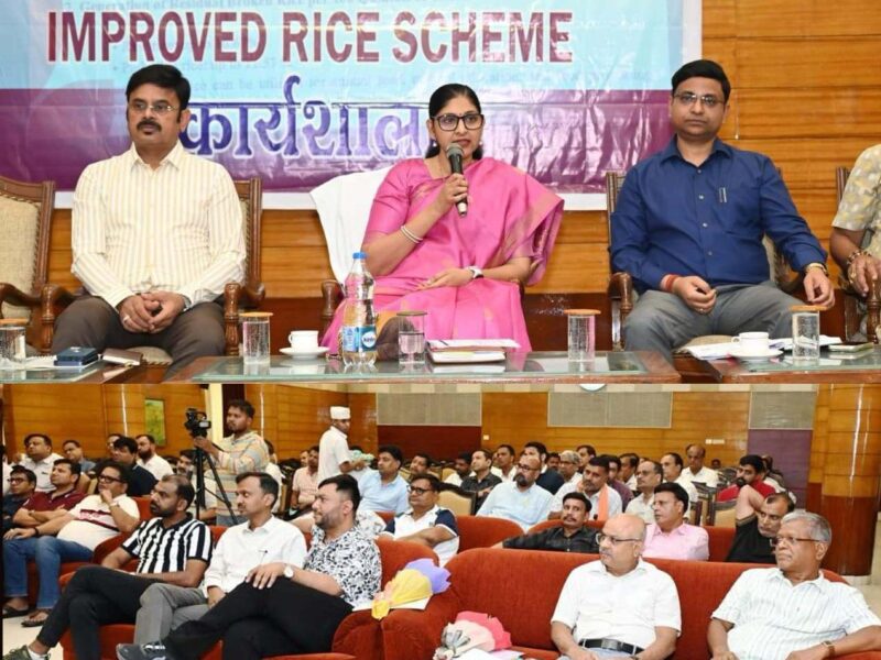 Improved Rice Scheme