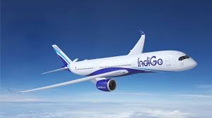 IndiGo flight