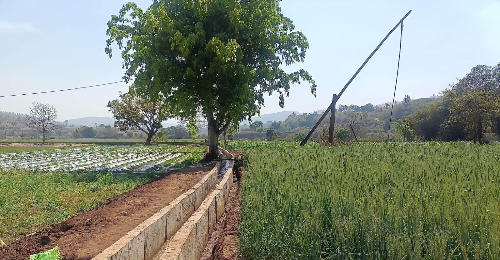 MGNREGA