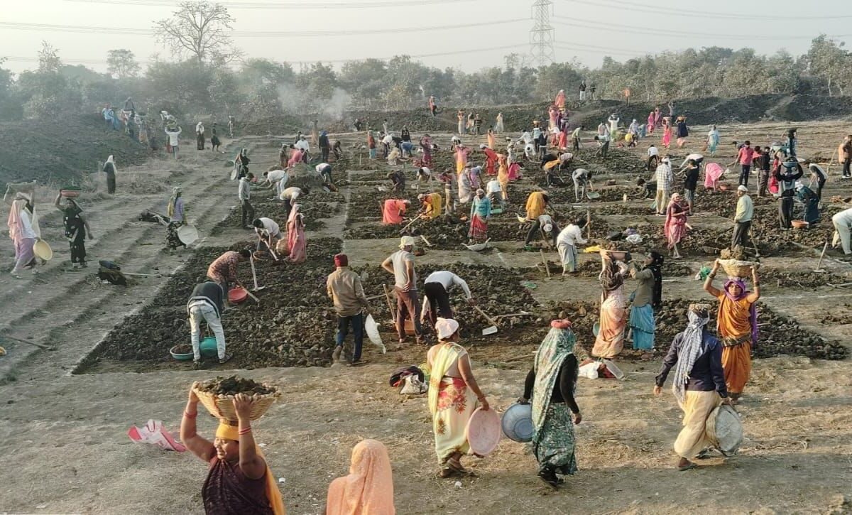 Mor Gaon, Mor Taria