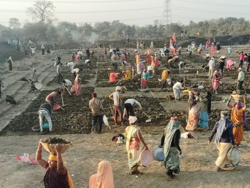 Mor Gaon, Mor Taria