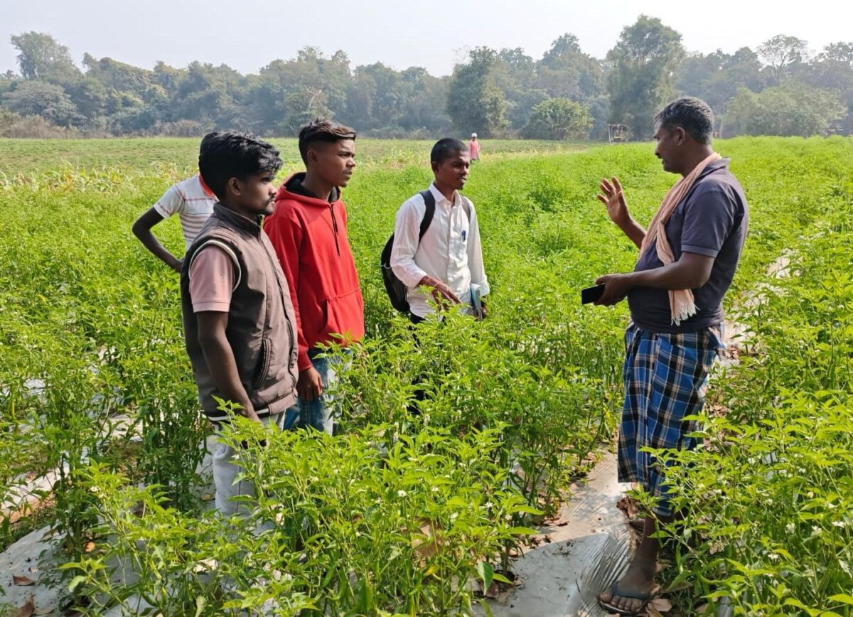 Naxal-affected areas