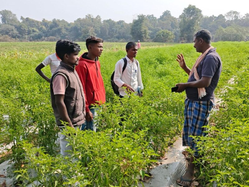 Naxal-affected areas