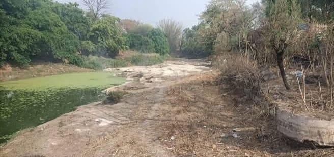 Save River Campaign