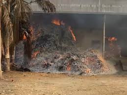 bijapur tendu patta godown