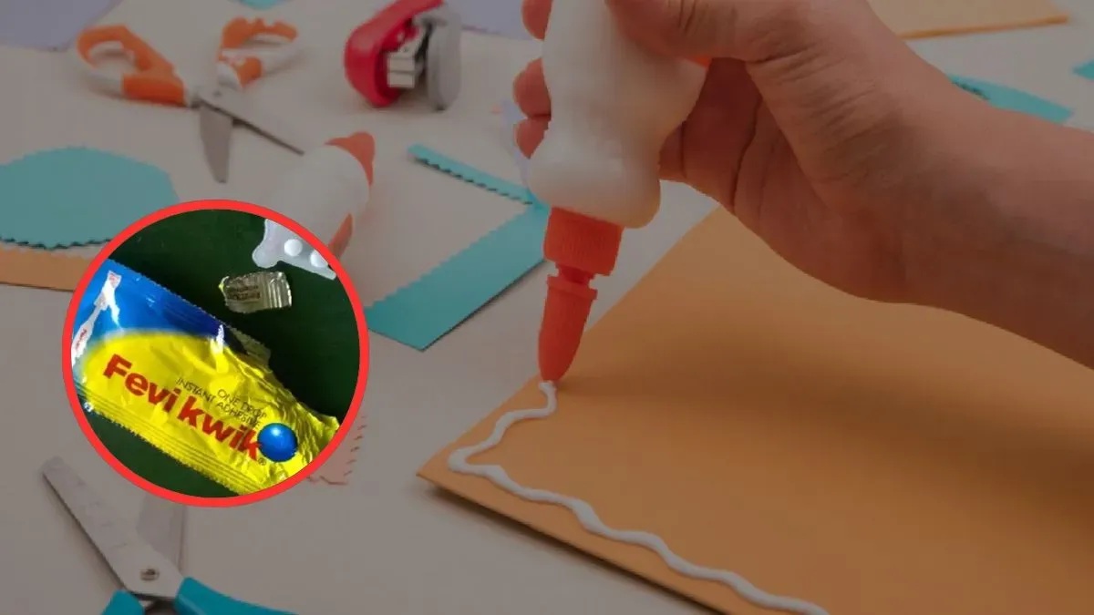 The Fevikwik Mystery: Why doesn't Fevikwik—which sticks everything together—stick to its own bottle? Discover the science behind it.