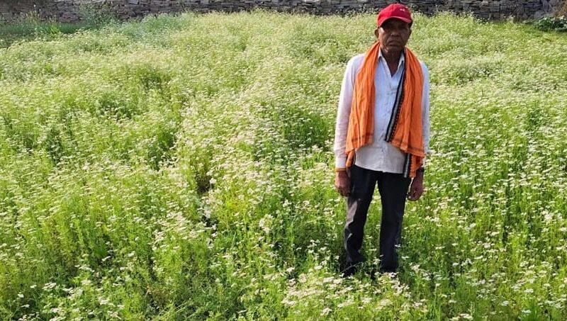 Coriander Farming: Ratiram's Life Blossoms