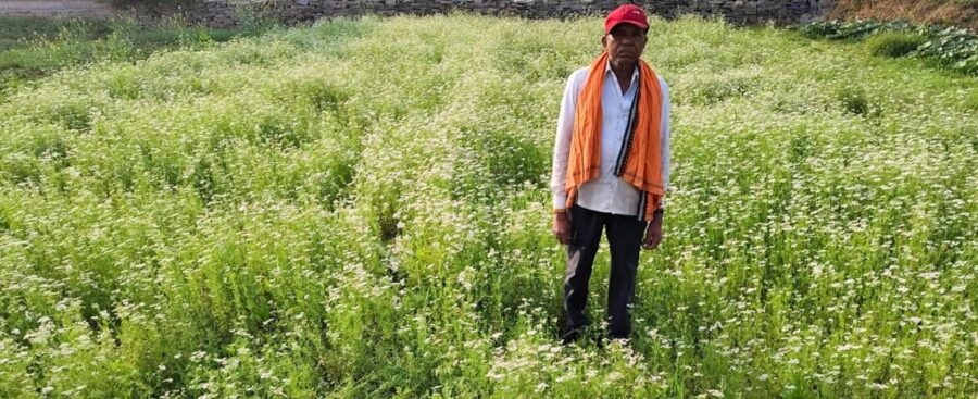 Coriander Farming: Ratiram's Life Blossoms