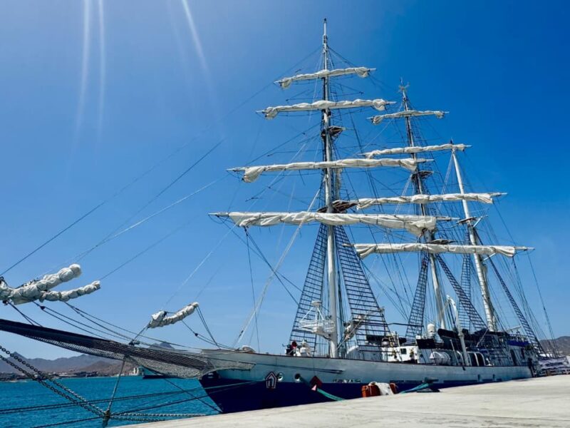 ins sudarshini mindelo