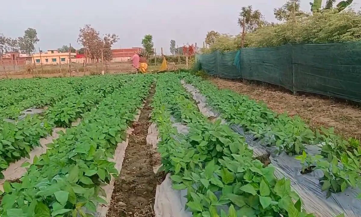 National Pledge to Save: A National Resolve to Save Mother Earth! The ‘Save the Fields Campaign’ (Khet Bachao Abhiyan) to launch from Raisen on June 1st—bringing together KVKs, ICAR, Agricultural Universities, and the State Administration on a single platform.
