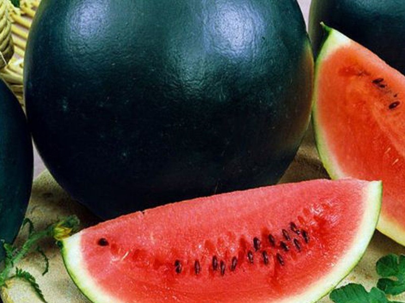 watermelon