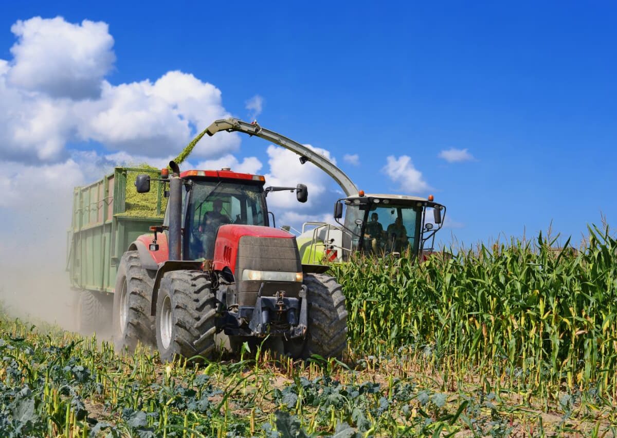 BRICS and the new direction of agricultural trade