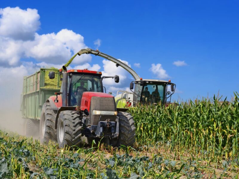 BRICS and the new direction of agricultural trade