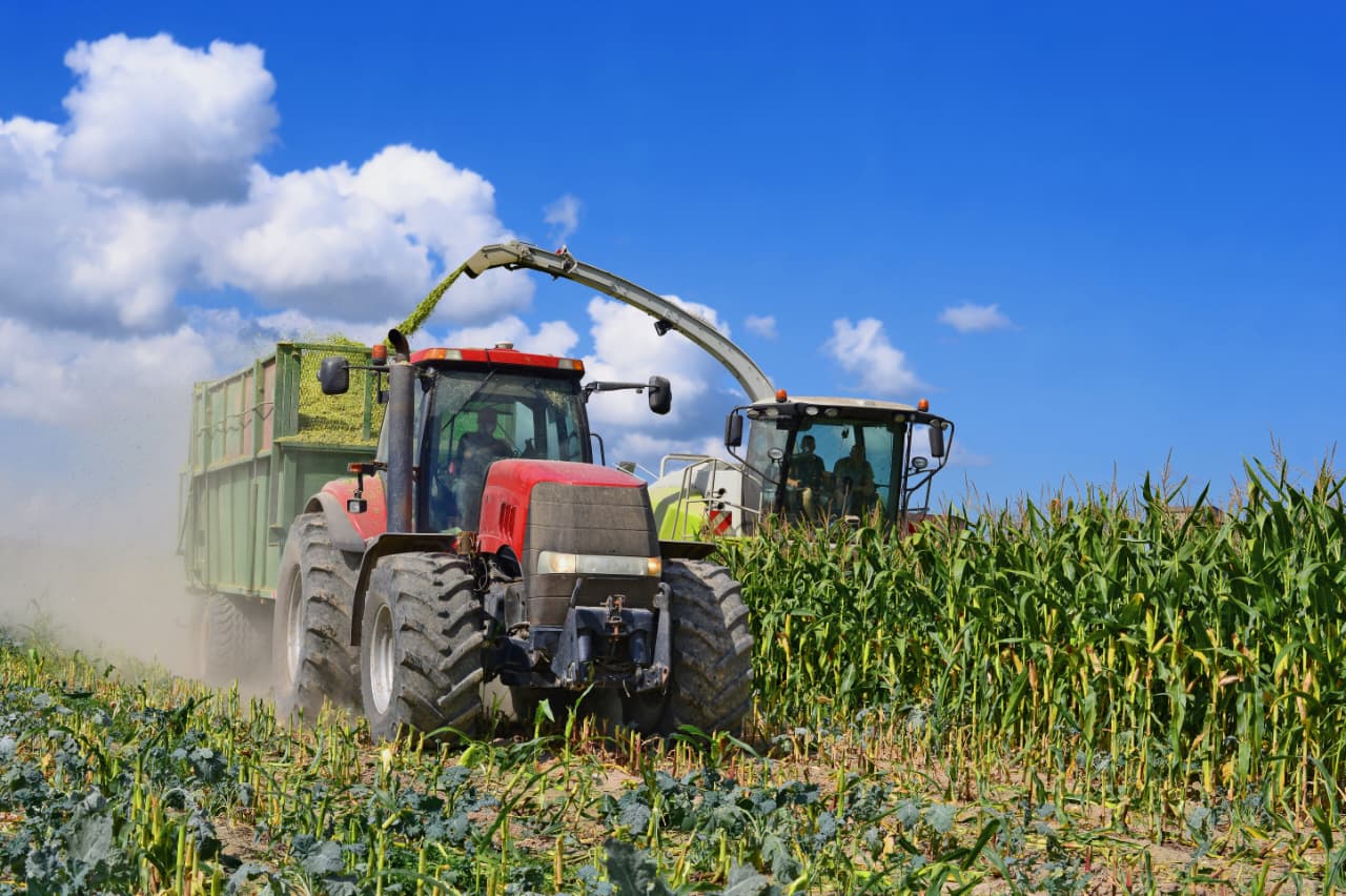 BRICS and the new direction of agricultural trade