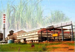 Bhoramdev Sugar Factory