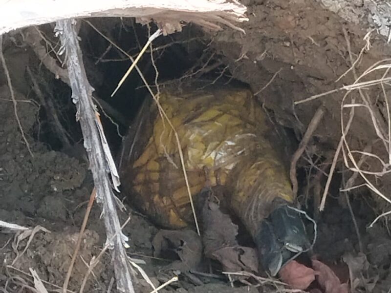 Naxal Operation: Major Naxal plot foiled in Kanker! 3 kg pressure cooker IED found in the forest; security forces defuse it.
