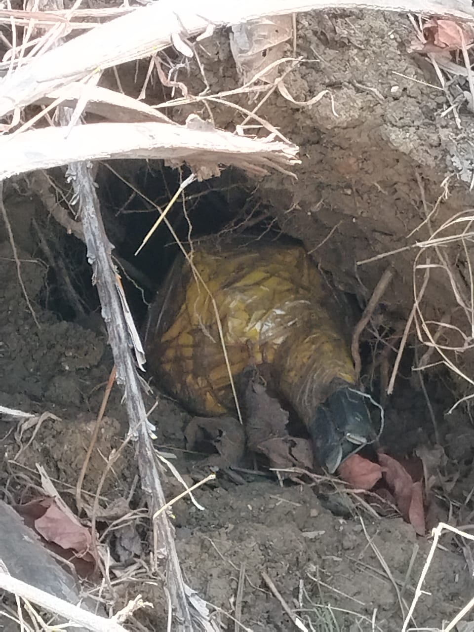 Naxal Operation: Major Naxal plot foiled in Kanker! 3 kg pressure cooker IED found in the forest; security forces defuse it.