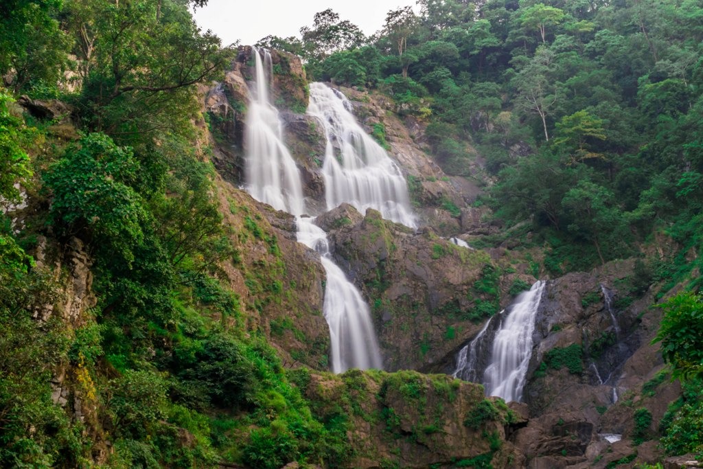 Jashpur