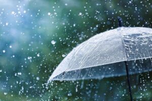 Monsoon enters Chhattisgarh