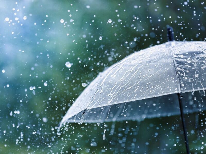 Monsoon enters Chhattisgarh