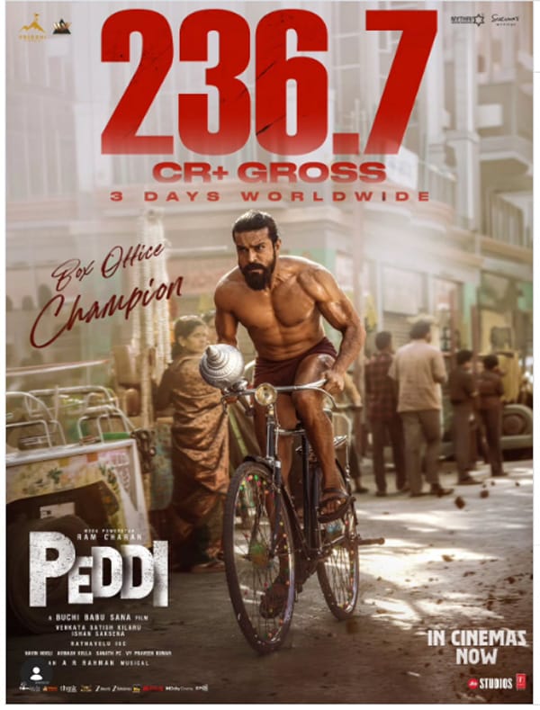 Peddi