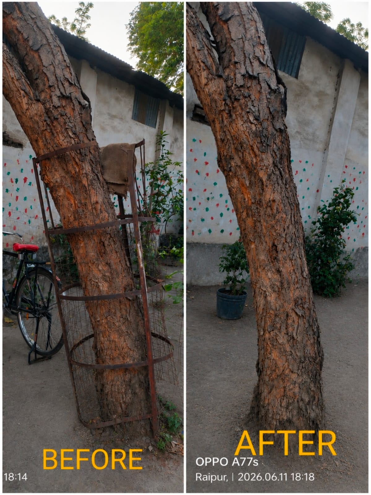 Project Punarjeevan