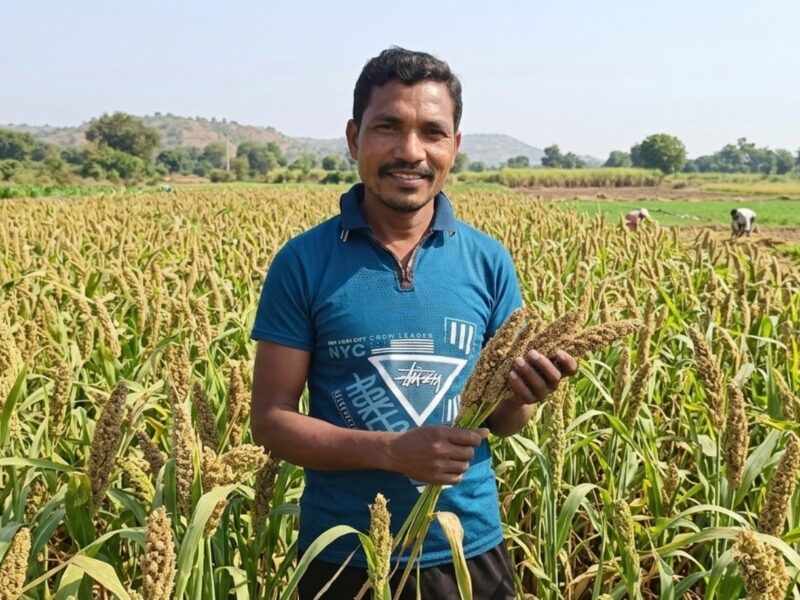 Superfood Millets