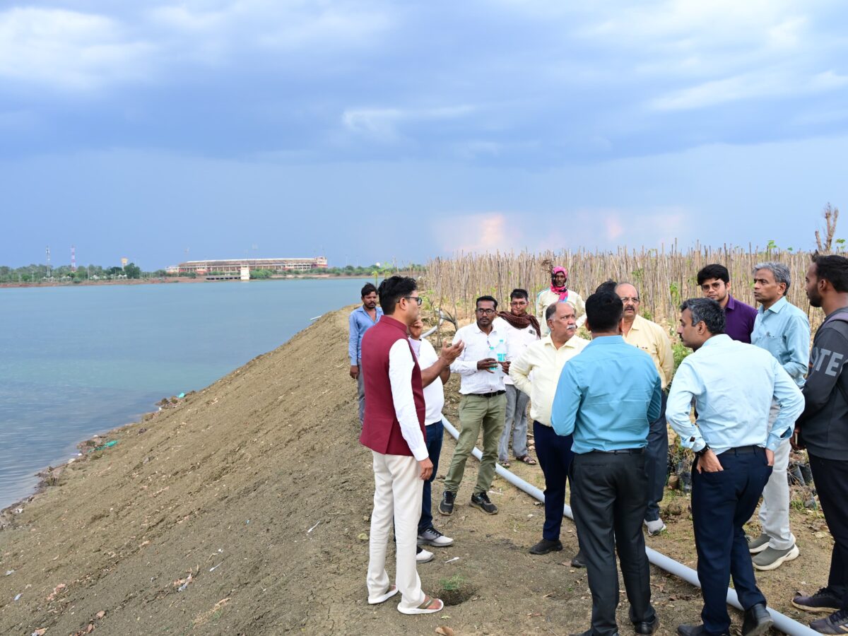 Tree Plantation and Peepal Plantation